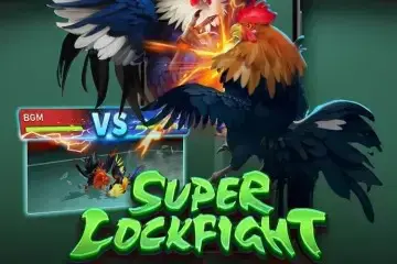 Super Cockfight - Spin City - Congo